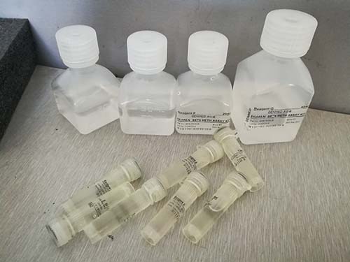 精液组分氧化应激活性氧（ROS）鲁米诺化学发光法定量检测试剂盒