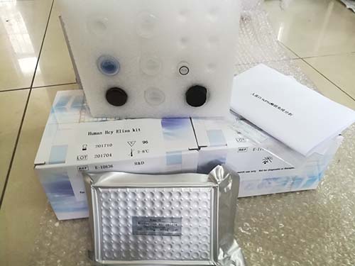 雪旺氏细胞（schwaan cell）通用标记S100免疫组化染色试剂盒