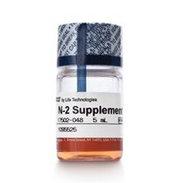 N-2 Supplement (100X)