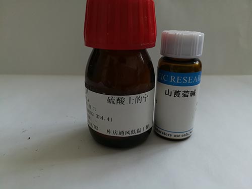 抗胶原蛋白I抗体col1