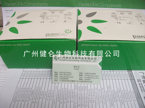 Panbio登革热间接法检测试剂盒Panbio