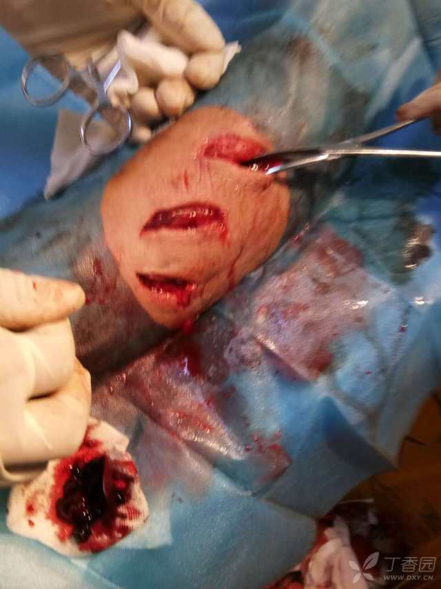 3220688854765329816-8w.jpg!w640