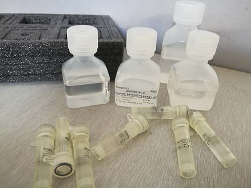 动物细胞氧化应激活性氧（ROS）光泽精化学发光法定量检测试剂盒