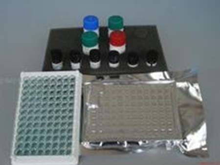 DNA产物去铁纯化试剂盒