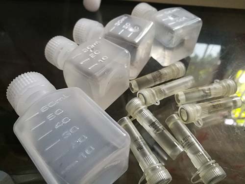 BrdU标记法组织冰冻切片细胞繁殖荧光显微镜检测试剂盒