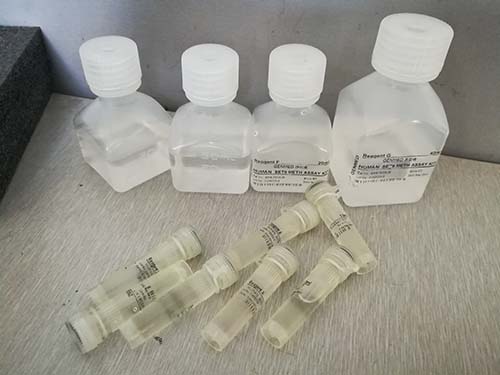 动物细胞β-半乳糖苷酶报告基因活性高质敏感比色法定量检测试剂