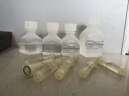 7-AAD细胞核形态染色/细胞凋亡染色试剂盒