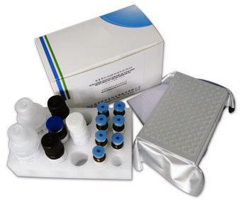 碳酸酐酶检测试剂盒,人(CA）ELISAKit进口