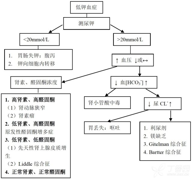 低钠血症诊断流程图图片