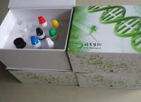 大鼠丙二醛(MDA)Elisa试剂盒