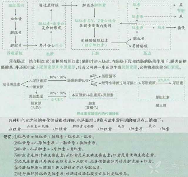 请问尿胆素原和尿胆素 ,尿胆原有什么区别吗