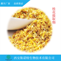 桂花粉 喷雾干燥速溶粉 斯诺特生物 固体饮料原料 现货包邮