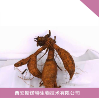 野生葛根提取物，葛根粉，葛根异黄酮 纯天然正品