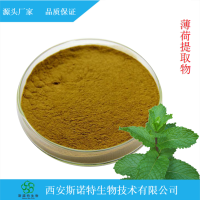厂家批发薄荷粉 清凉薄荷果粉 薄荷提取物 全速溶薄荷果粉