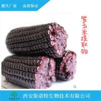 紫玉米提取物 10:1 紫玉米粉 斯诺特生物 厂家直销包邮