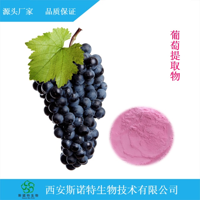 葡萄籽提取物 OPC 95%原花青素 斯诺特生物 厂家直销