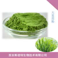纯天然大麦苗粉 大麦若叶青汁粉 麦绿素粉 超细粉 厂家直销