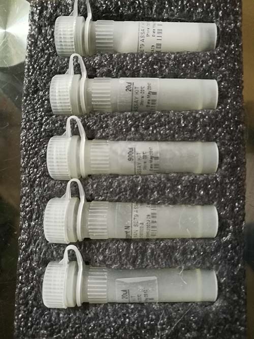 大鼠血清一氧化氮(NO)ELISA试剂盒