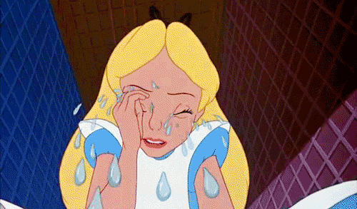 giphy (28).gif