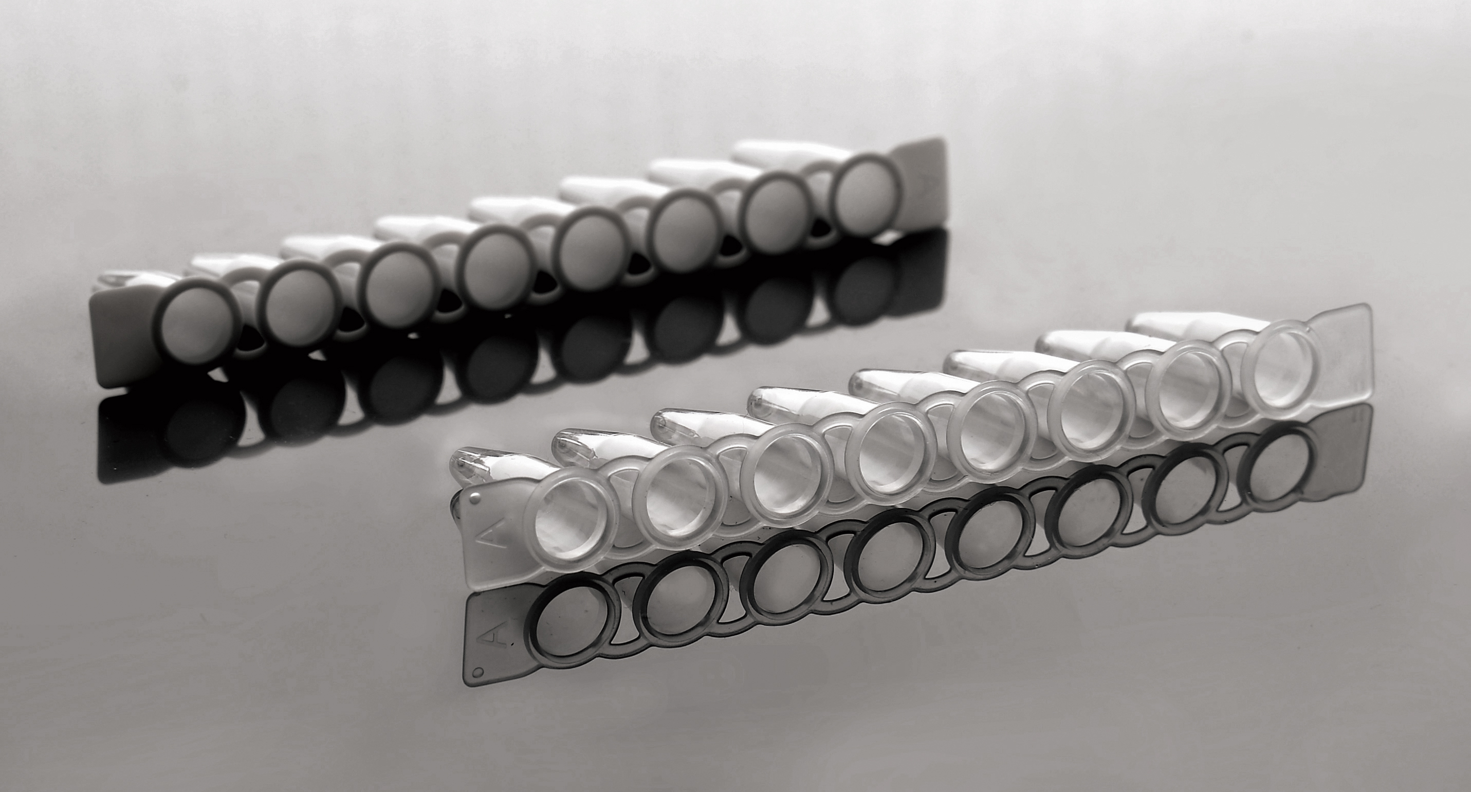 NEST 0.2ml PCR八联管（编号：403002）