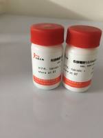 表小檗碱,6873-9-2,Epiberberine标准品