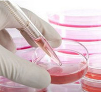 细胞功能学实验/细胞一站式服务