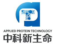 HPLC纯度（反相 / 分子筛）