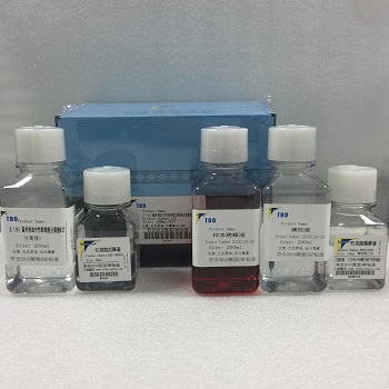 小鼠脏器组织中性粒细胞分离液试剂盒