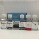猪脏器组织单核细胞分离液试剂盒