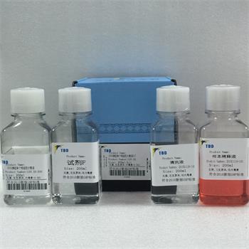 小鼠脾脏单个核细胞分离液试剂盒