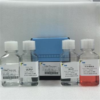 猪骨髓单个核细胞分离液试剂盒