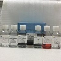 大鼠肿瘤组织淋巴、单核巨噬、粒细胞分离液试剂盒