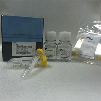 人富含NK活性大颗粒淋巴细胞（LGL）的纯化试剂盒