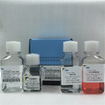 大鼠外周血白细胞分离液试剂盒（分子生物学及细胞培养专用）