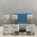 羊外周血NK细胞分离液试剂盒