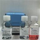 大鼠外周血血小板分离液试剂盒