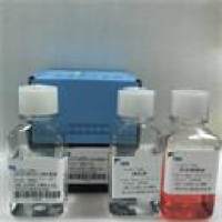 小鼠外周血血小板分离液试剂盒