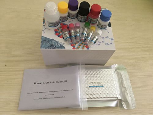 小鼠Ⅰ型胶原C端肽(CTXⅠ)ELISA试剂盒