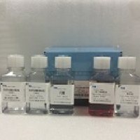 猪血管内皮细胞分离液试剂盒