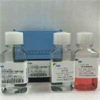 人脐带血干细胞分离液KIT医用级