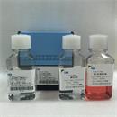猪红细胞分离液试剂盒