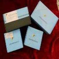 原位细胞凋亡检测试剂盒 TUNEL (POD)