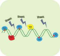 甲醛辅助分离调控元件技术(FAIRE-Seq)