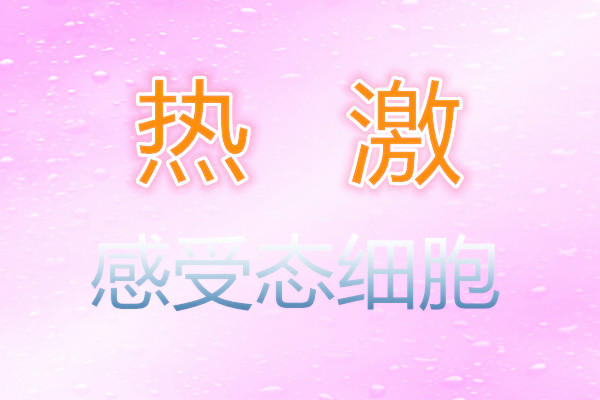 BL21(DE3)感受态细胞