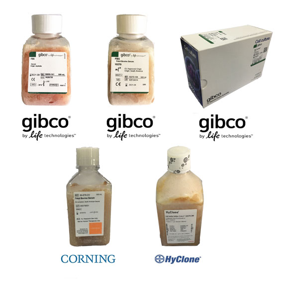 优质血清 FBS Fetal Bovine Serum
