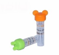 植物专用内参抗体Plant-actin Rabbit Polyclonal Antibody