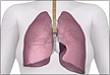 呼吸科临床用药经验集锦