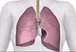 呼吸科临床用药经验集锦
