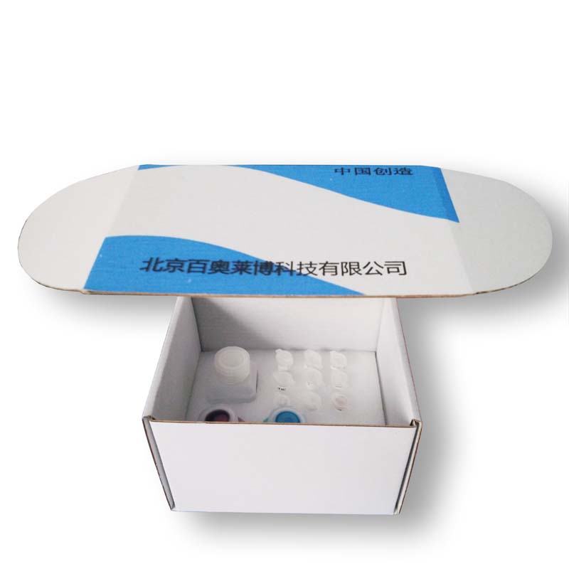 北京KFS233型TRAIL蛋白检测试剂盒厂家