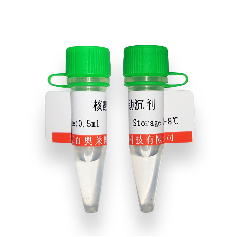 BTN130634型人源脱嘌呤/脱嘧啶(AP)核酸内切酶价格